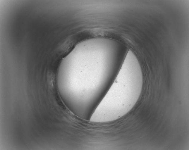 X0000067500125200604071033