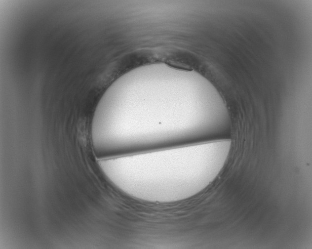 X0000067500129200604071033