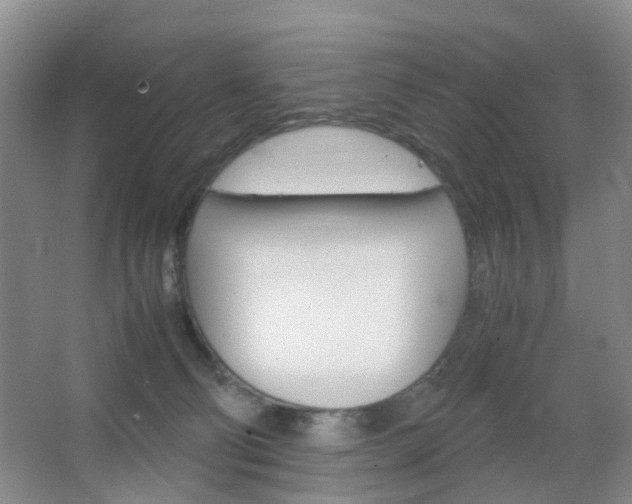 X0000067500130200604071033