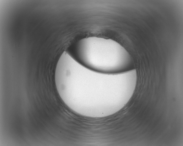 X0000067500135200604071033