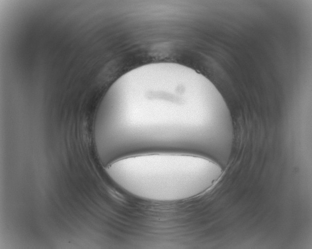 X0000067500136200604071033