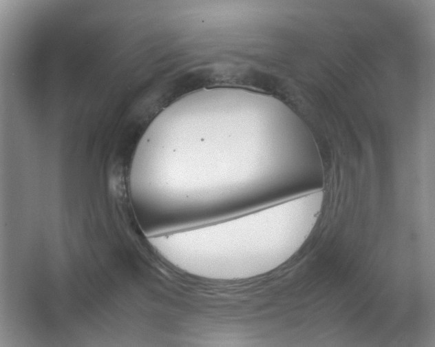 X0000067500137200604071033