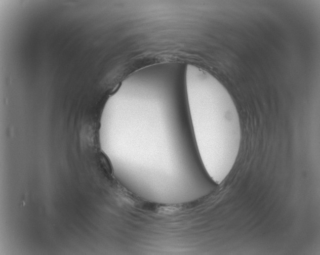 X0000067500139200604071033