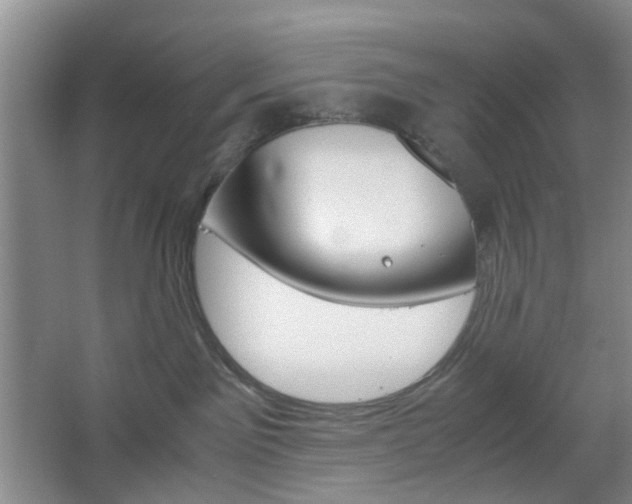 X0000067500141200604071033