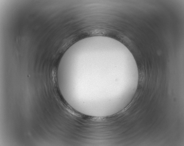 X0000067500142200604071033