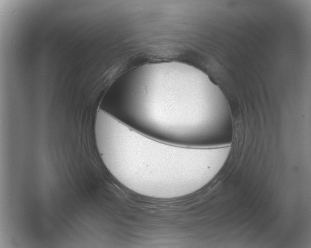 X0000067500143200604071033