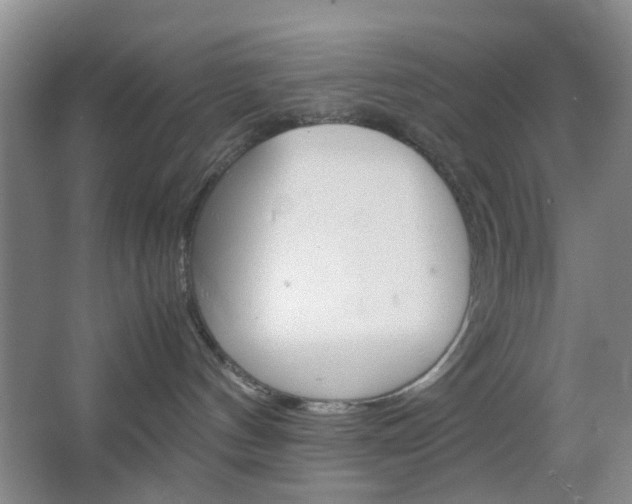 X0000067500144200604071033