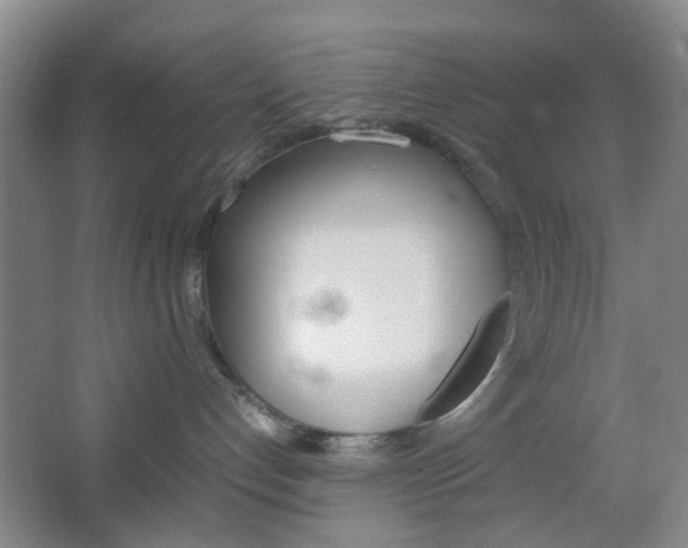 X0000067500192200604071033