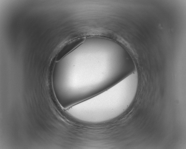 X0000067500203200604071032