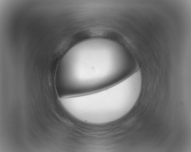 X0000067500215200604071031