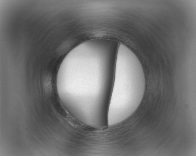 X0000067500216200604071031