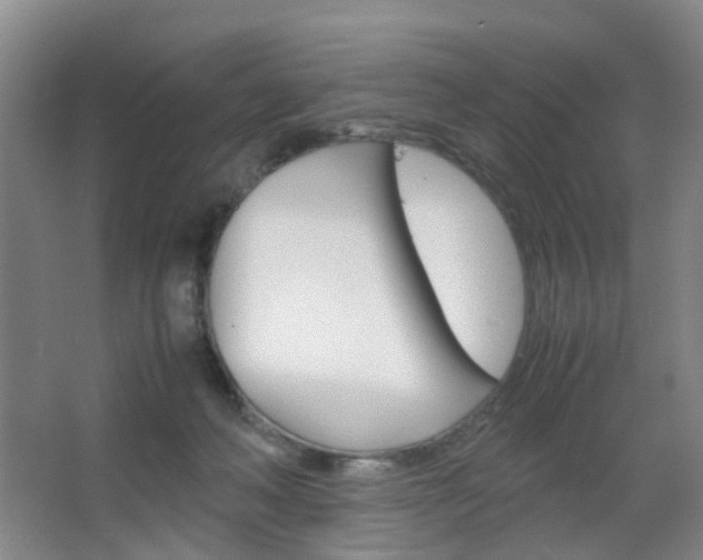X0000067500222200604071031