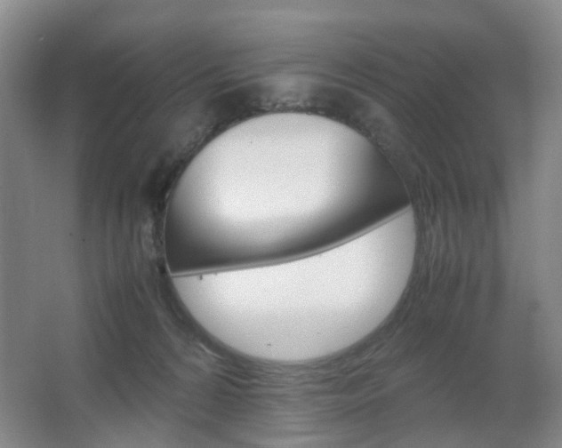 X0000067500224200604071031