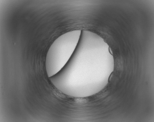 X0000067500234200604071031