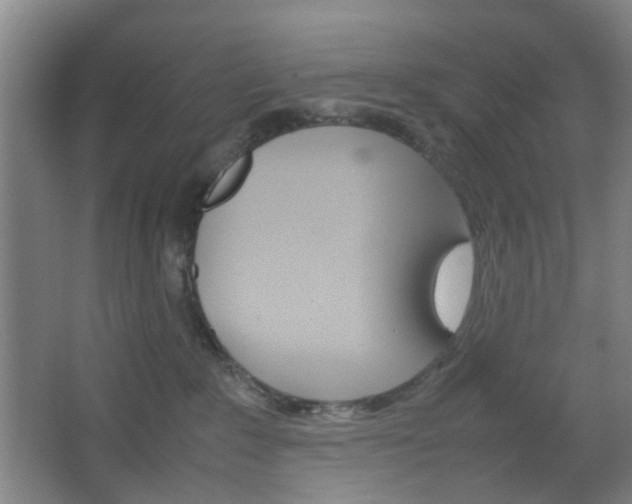 X0000067500235200604071031