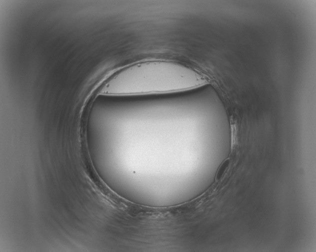 X0000067500243200604071030