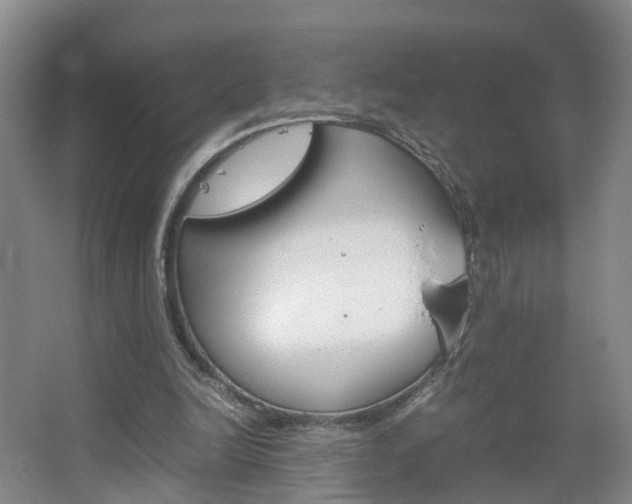 X0000067500246200604071030