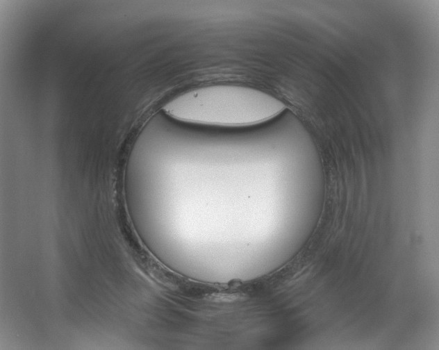 X0000067500255200604071030