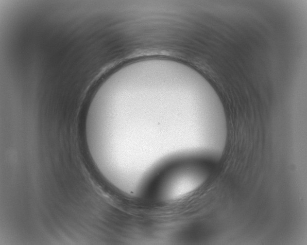X0000067500256200604071030