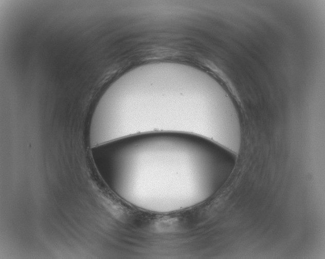 X0000067500257200604071030