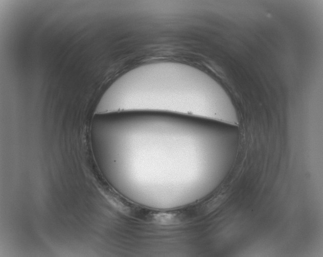 X0000067500265200604071031