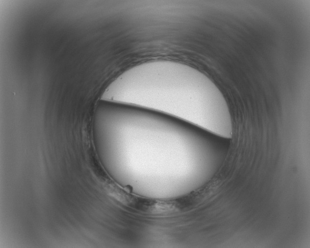 X0000067500270200604071031