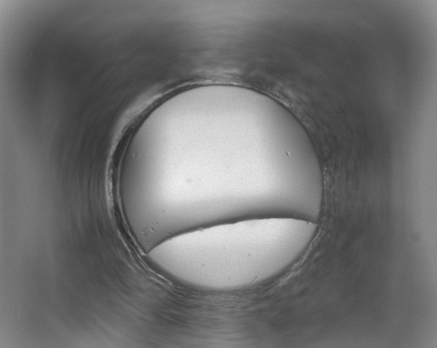X0000067500294200604071030