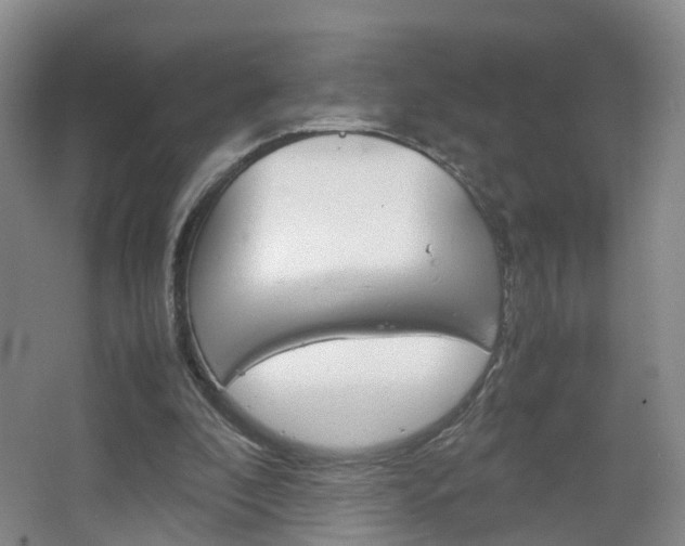 X0000067500296200604071030