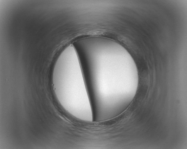 X0000067500303200604071030