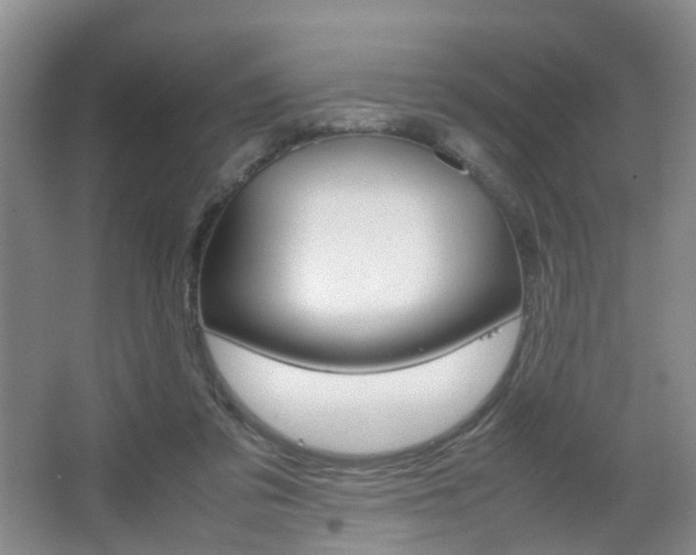 X0000067500309200604071030