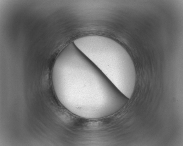 X0000067500314200604071030