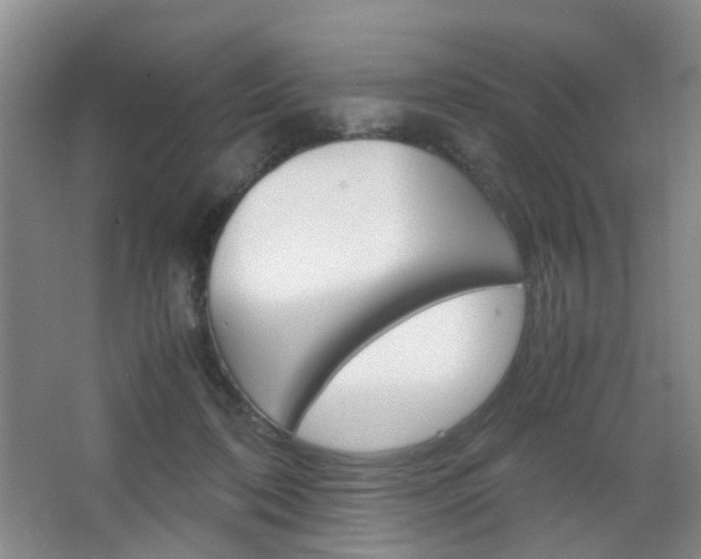 X0000067500316200604071030