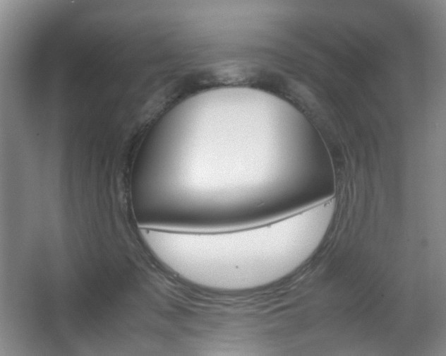 X0000067500317200604071030