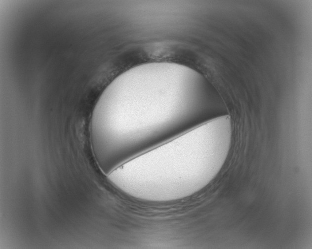 X0000067500319200604071030