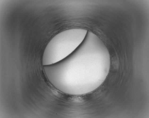 X0000067500322200604071030