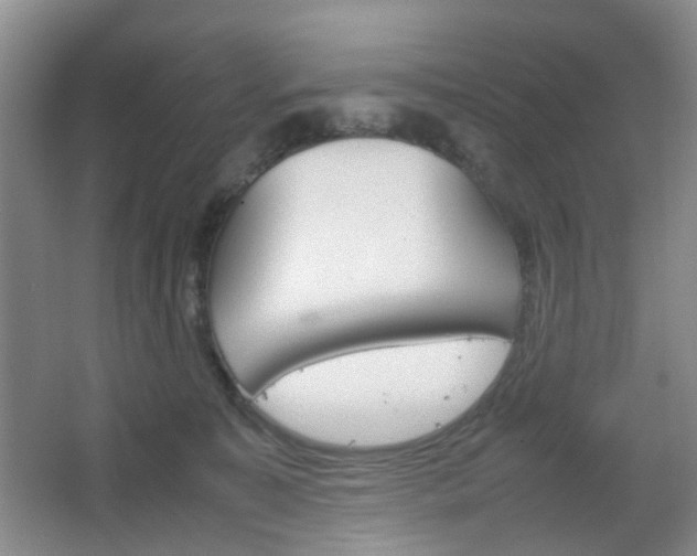 X0000067500323200604071030