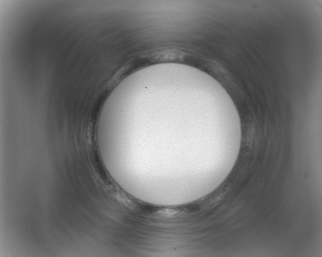 X0000067500326200604071029