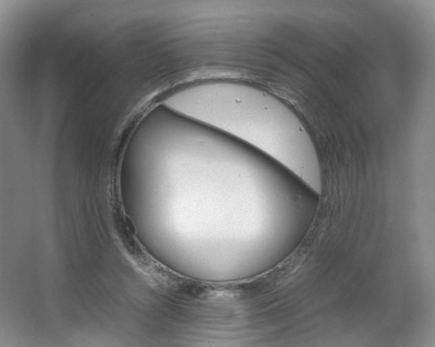 X0000067500352200604071029