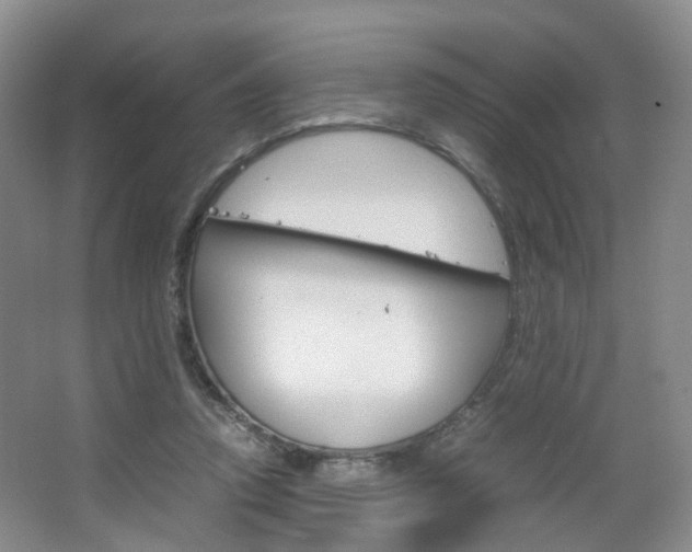 X0000067500354200604071029