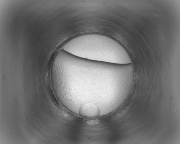 X0000067500355200604071029