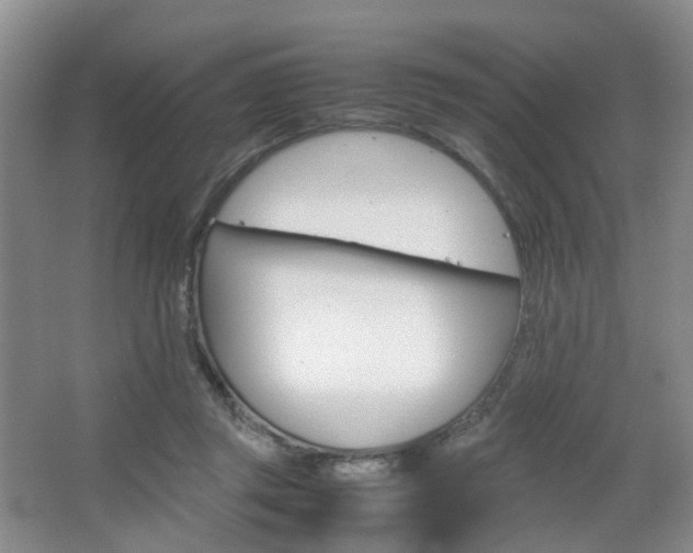 X0000067500357200604071029