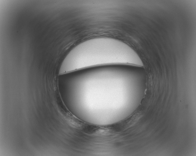 X0000067500364200604071029