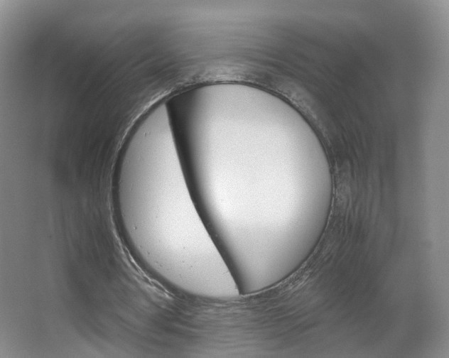X0000067500386200604071028