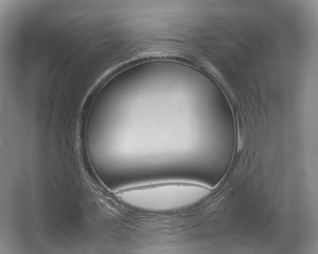 X0000067500387200604071028