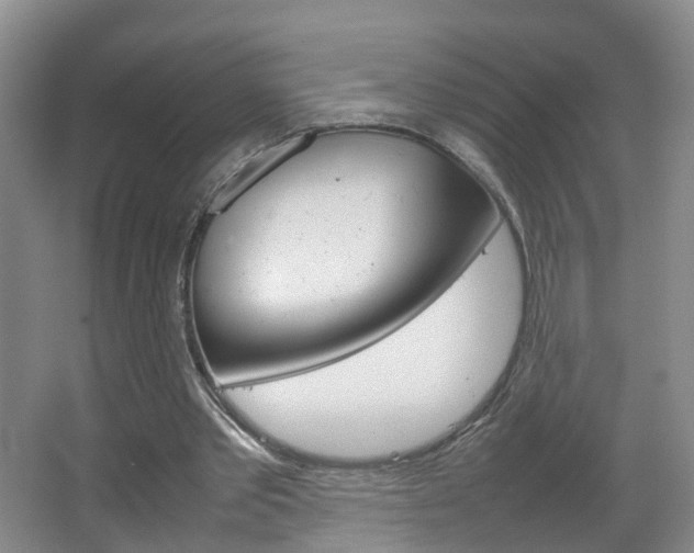 X0000067500389200604071028