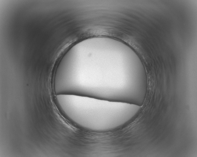 X0000067500390200604071028