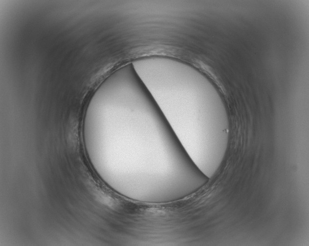 X0000067500394200604071028