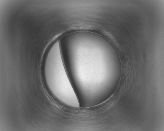 X0000067500395200604071028