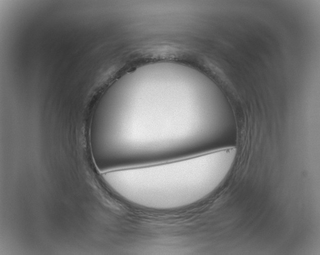 X0000067500403200604071028