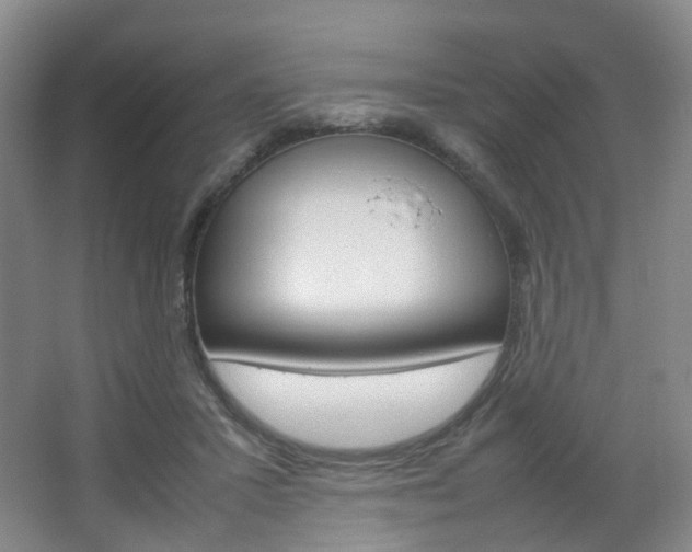 X0000067500407200604071028